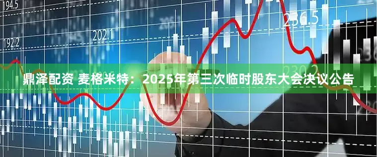 鼎泽配资 麦格米特：2025年第三次临时股东大会决议公告