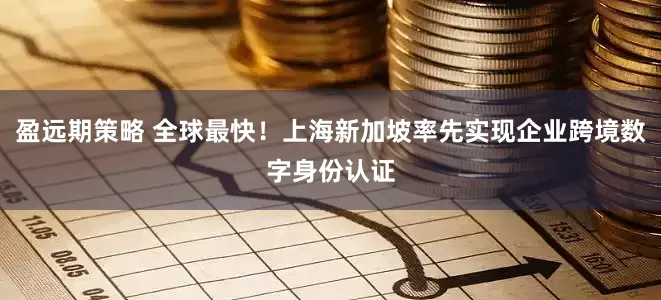 盈远期策略 全球最快！上海新加坡率先实现企业跨境数字身份认证