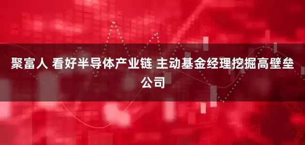 聚富人 看好半导体产业链 主动基金经理挖掘高壁垒公司